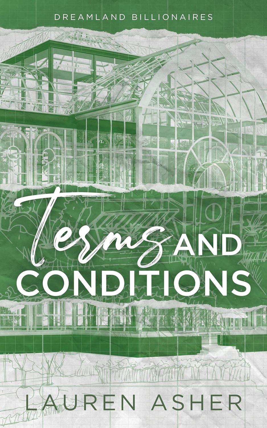 Terms and Conditions (Dreamland Billionaires, 2)